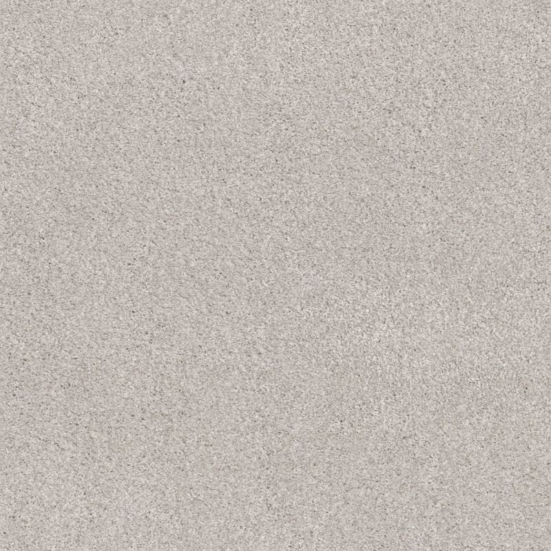 Shaw Floors Caress By Shaw Cozy Harbor II Net Minimal