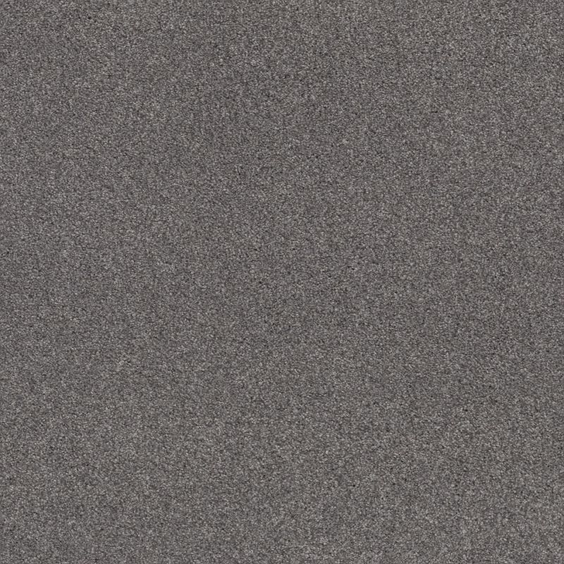 Shaw Floors Caress By Shaw Cozy Harbor II Net Well Traveled