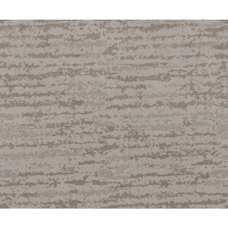 Shaw Floors Caress By Shaw Winter Solace Net Cold Winter