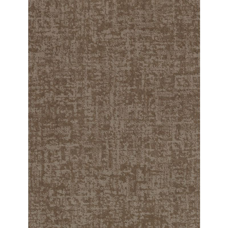 Shaw Floors Caress By Shaw Fine Structure Net Tumbleweed