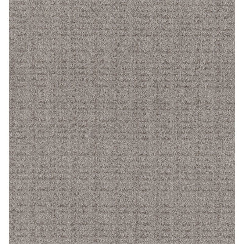 Shaw Floors Caress By Shaw Free Spirit Net Delicate Cream