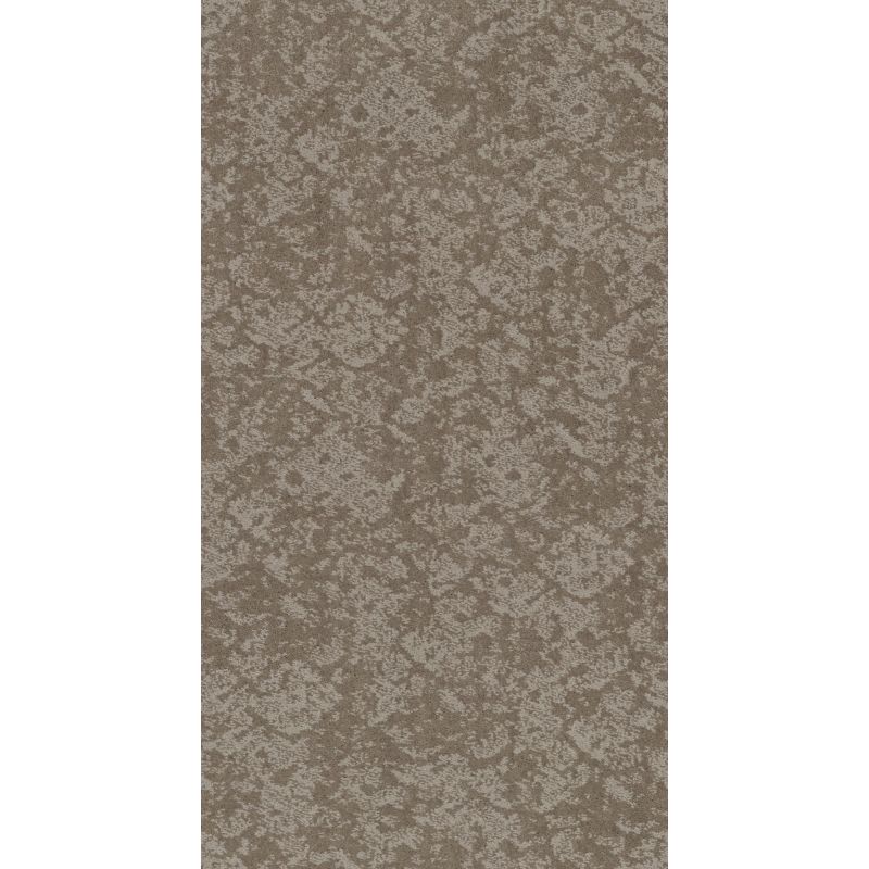 Shaw Floors Caress By Shaw Free Spirit Net Stucco