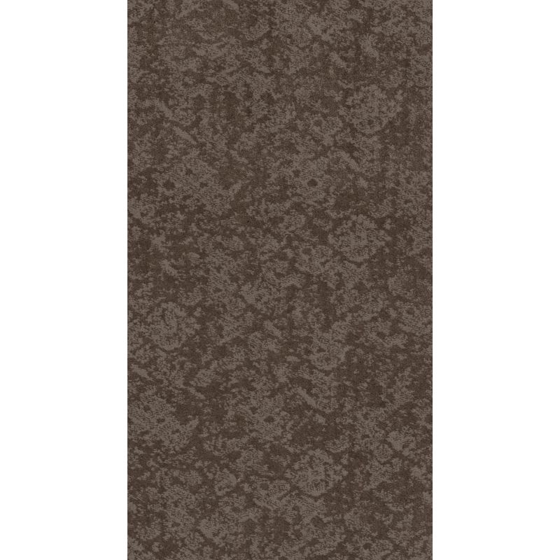 Shaw Floors Caress By Shaw Free Spirit Net Ridgeview