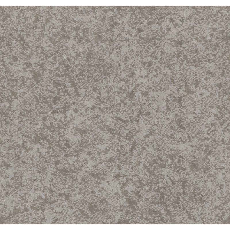 Shaw Floors Caress By Shaw State Of Mind Net Cold Winter