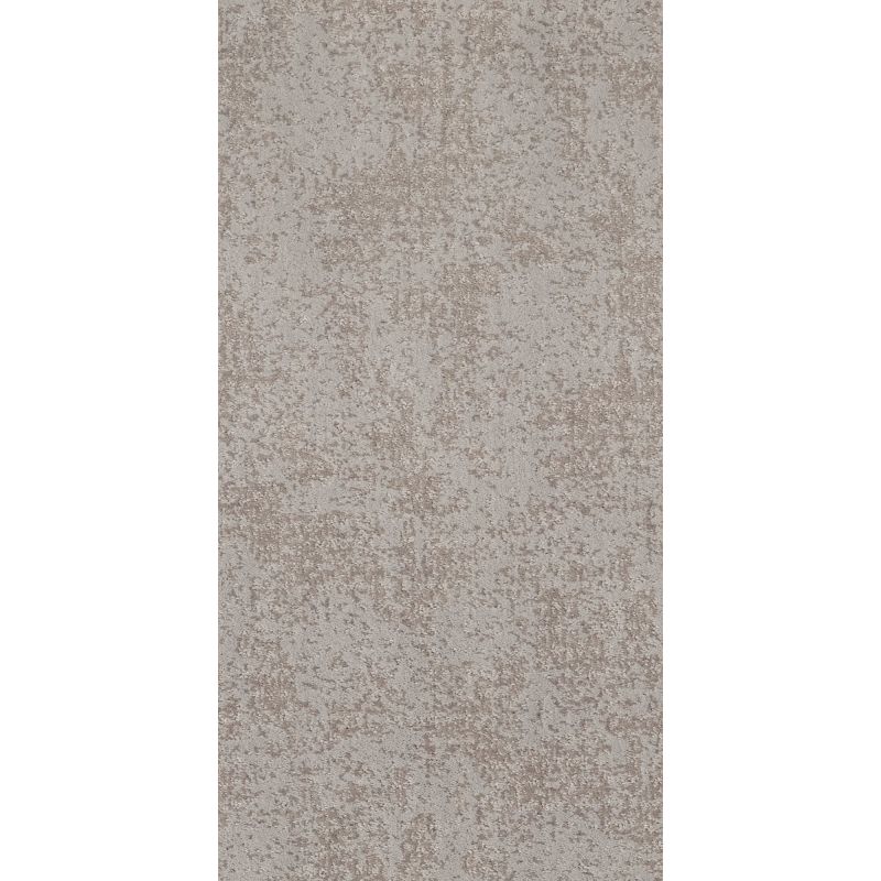 Shaw Floors Caress By Shaw Artistic Presence Net Cold Winter