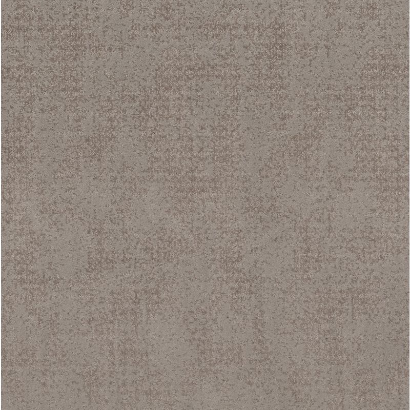 Shaw Floors Caress By Shaw Artistic Presence Net Stucco