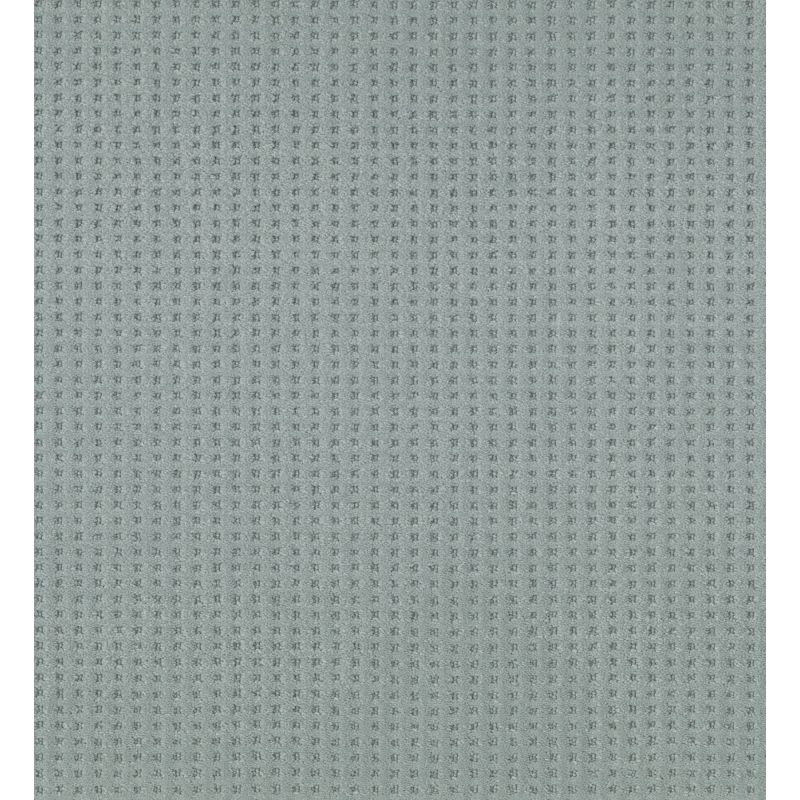 Shaw Floors Caress By Shaw Soft Symmetry Net Waters Edge