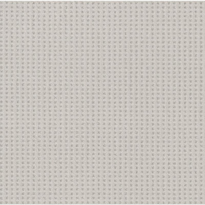 Shaw Floors Caress By Shaw Soft Symmetry Net Minimal
