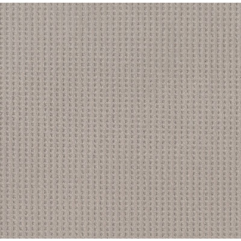 Shaw Floors Caress By Shaw Soft Symmetry Net Stucco