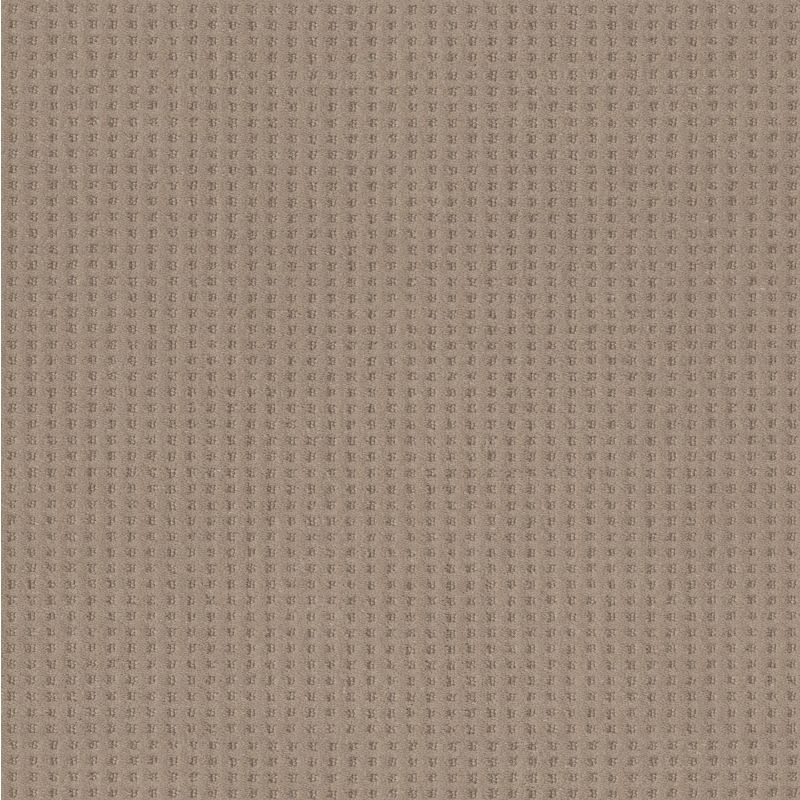 Shaw Floors Caress By Shaw Soft Symmetry Net Tumbleweed