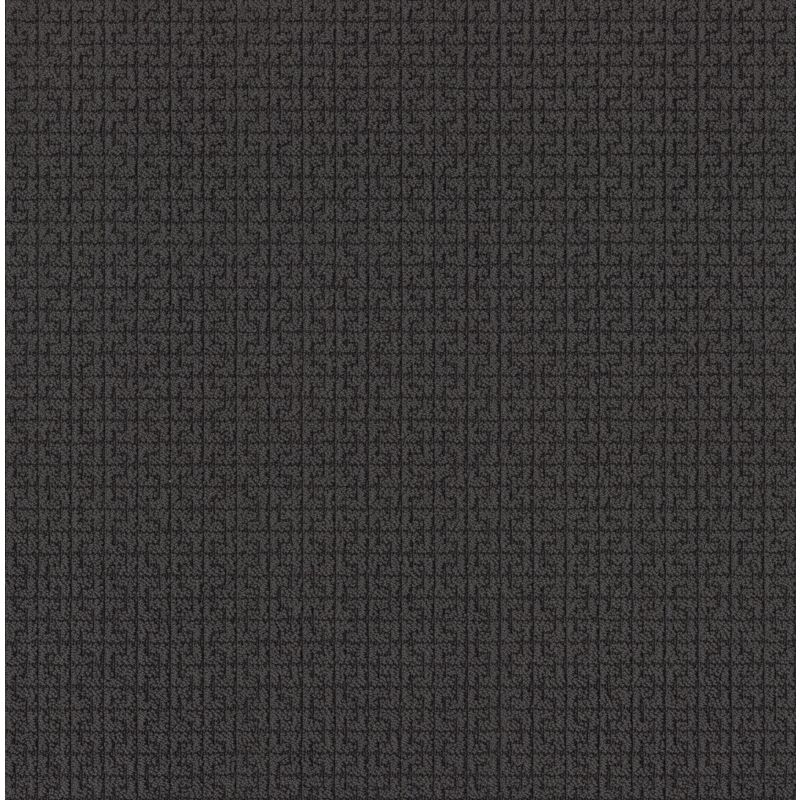 Shaw Floors Caress By Shaw Serene Key Net Wrought Iron