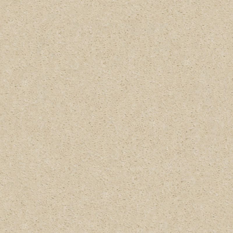 Shaw Floors Value Collections Heroic Net Silk Thread