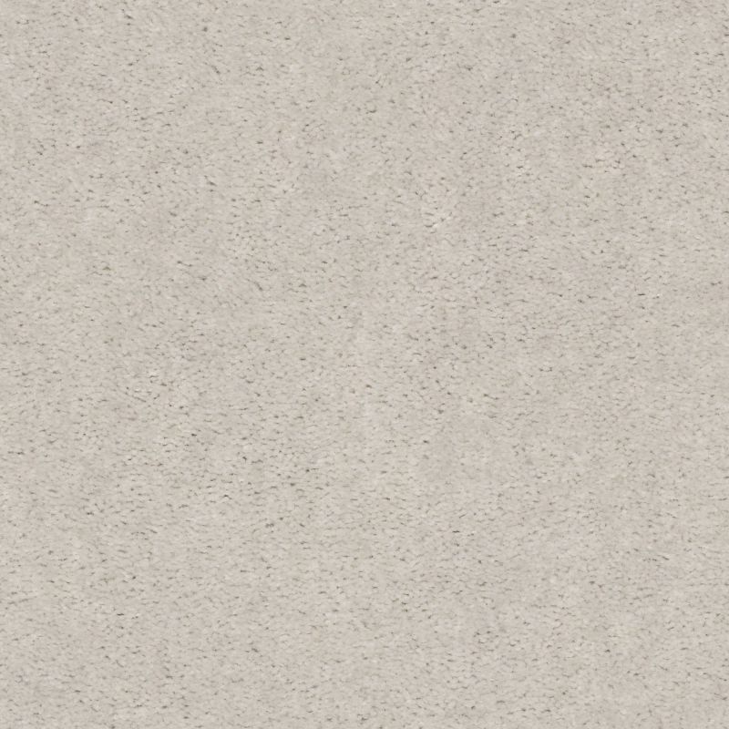 Shaw Floors Value Collections Heroic Net Looking Glass