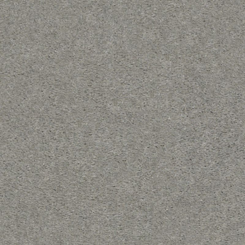 Shaw Floors Value Collections Heroic Net Shadow