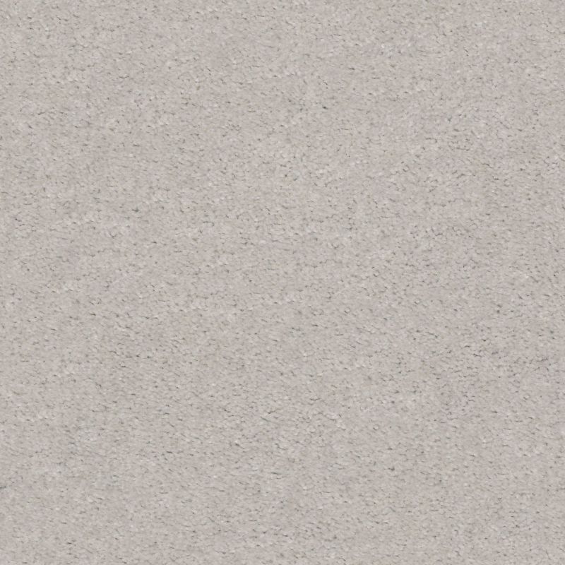 Shaw Floors Value Collections Heroic Net Glacier Ice