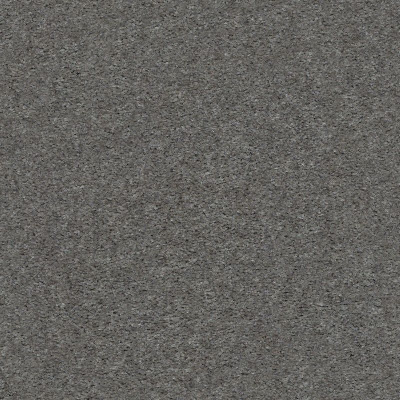 Shaw Floors Value Collections Heroic Net Hampton Surf