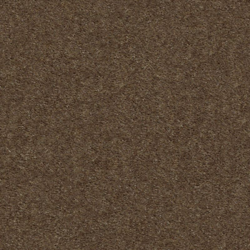 Shaw Floors Value Collections Heroic Net Toffee