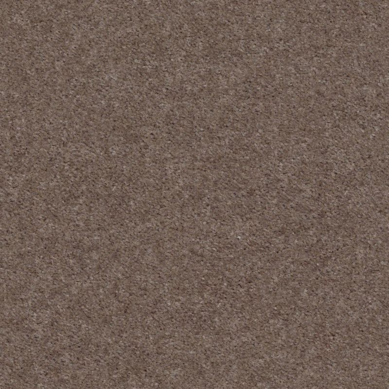 Shaw Floors Value Collections Heroic Net Chic Taupe