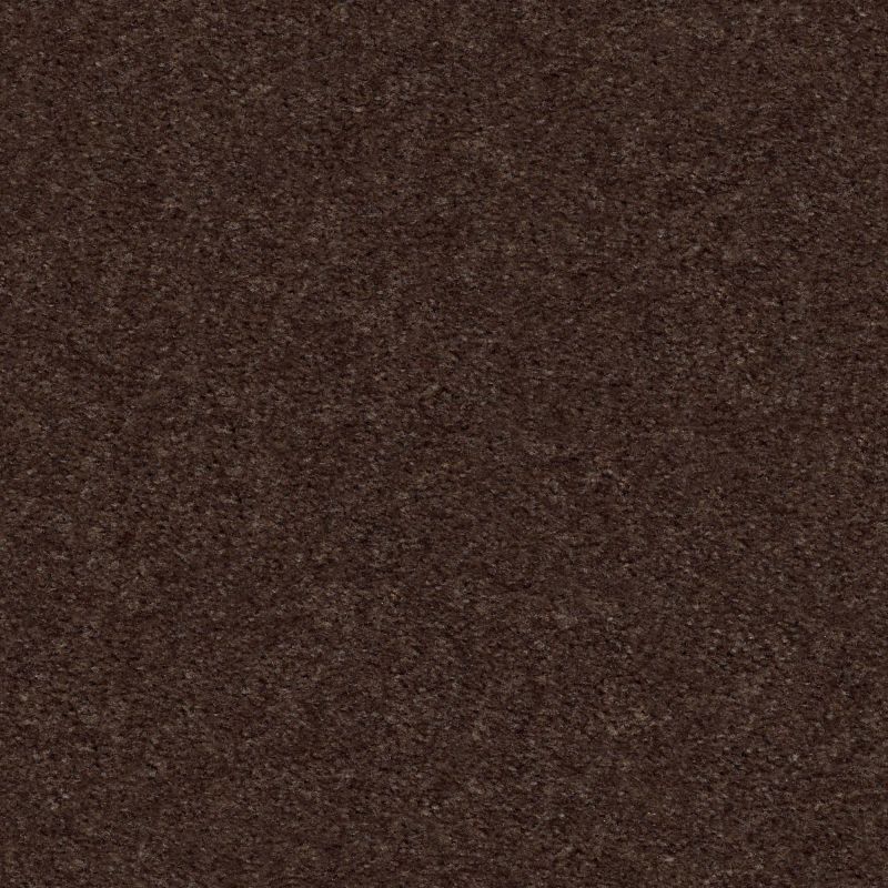 Shaw Floors Value Collections Heroic Net Truffle