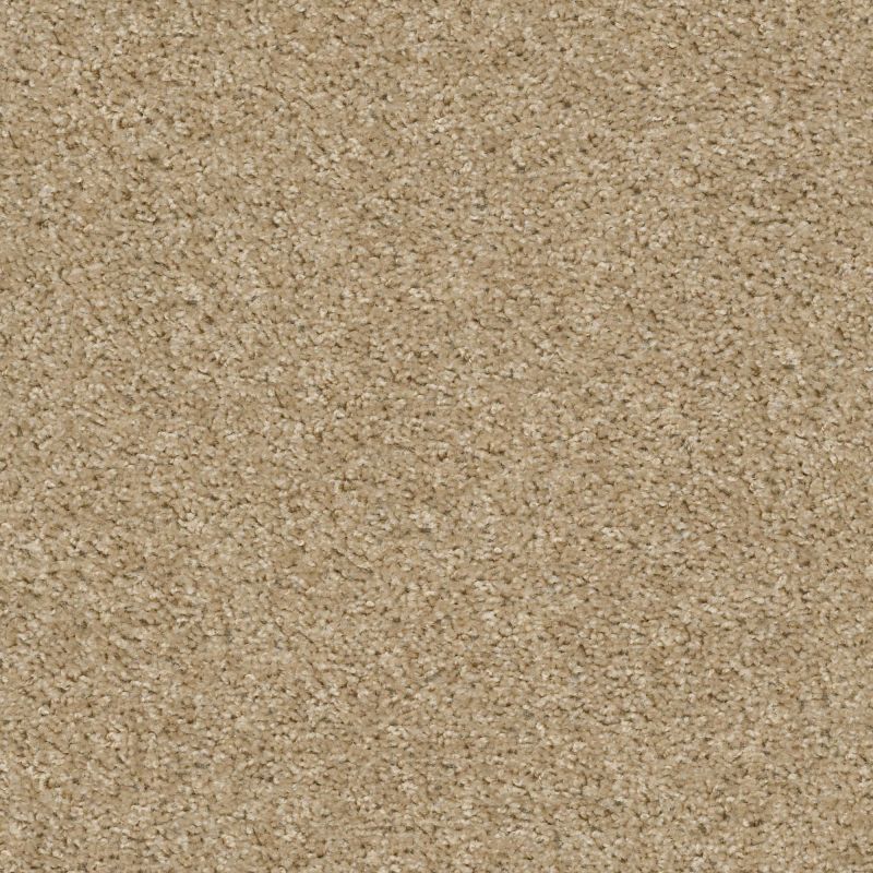 Shaw Floors Value Collections Valiant Net Coronado