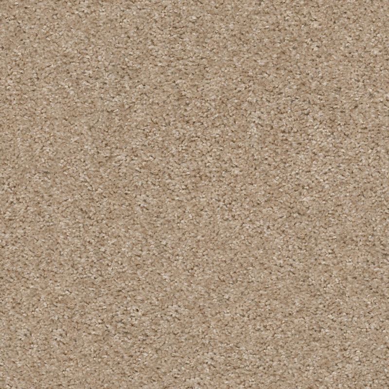 Shaw Floors Value Collections Valiant Net Mohair