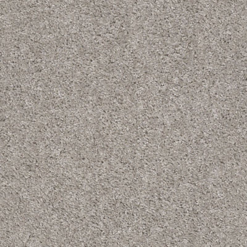 Shaw Floors Value Collections Valiant Net La Paloma