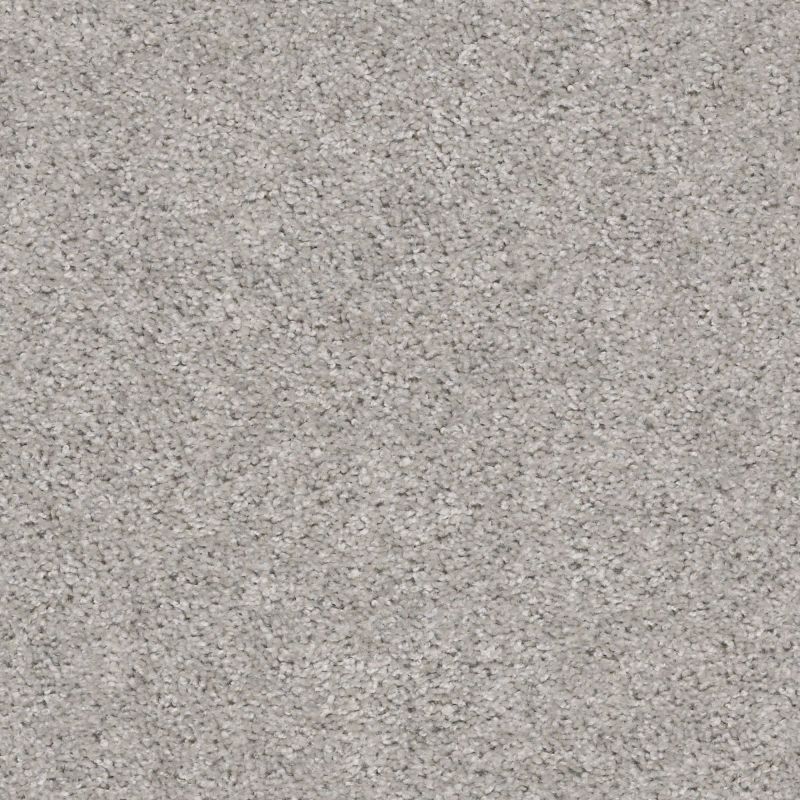Shaw Floors Value Collections Valiant Net Silver Song