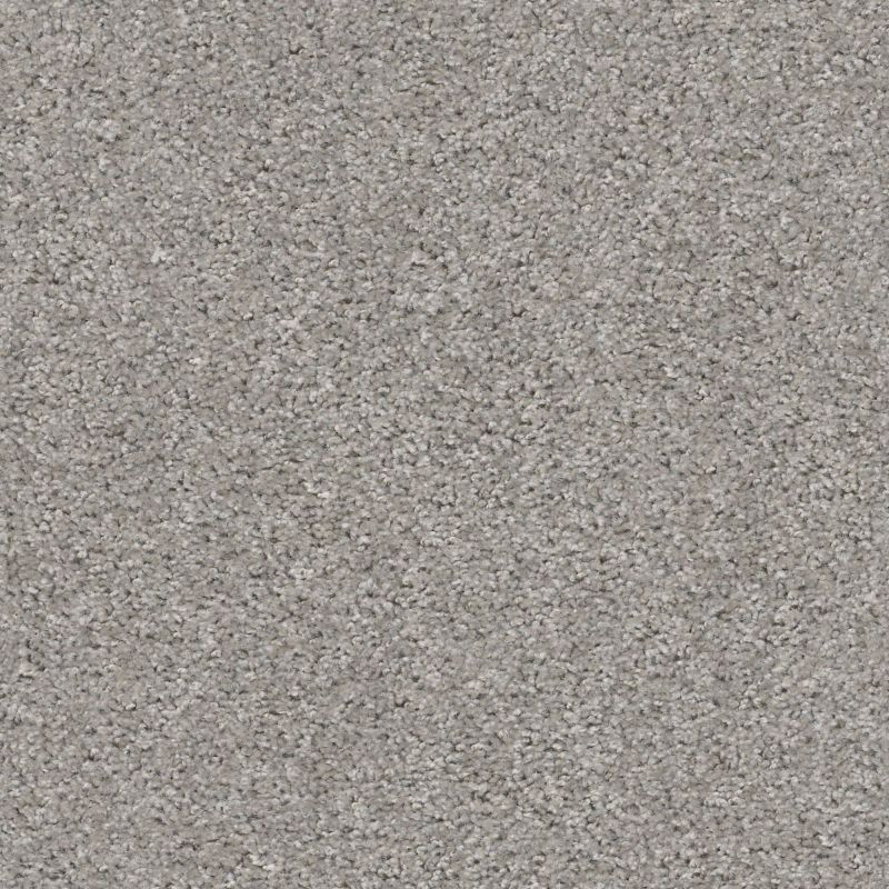 Shaw Floors Value Collections Valiant Net Raindance