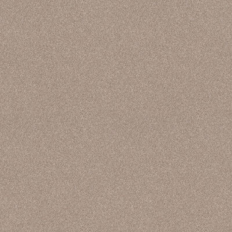 Shaw Floors Foundations Harmonious I Heirloom