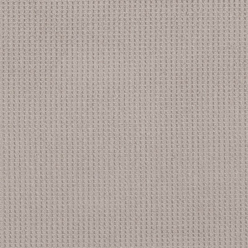 Shaw Floors Foundations Faint Intent Baltic Stone