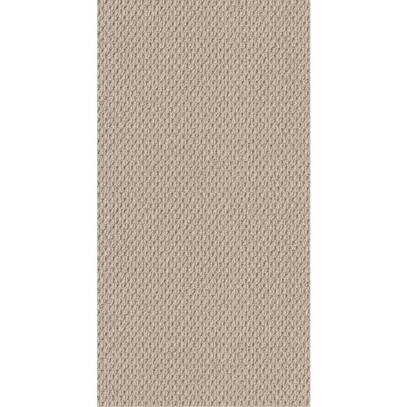 Shaw Floors Foundations Naturalistic Sun Kissed