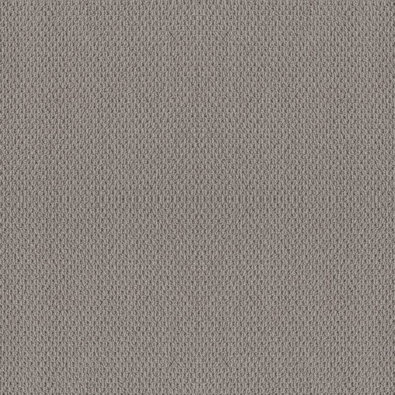 Shaw Floors Foundations Naturalistic Grey Fox