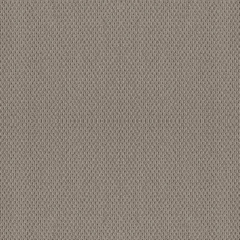 Shaw Floors Foundations Naturalistic River Run