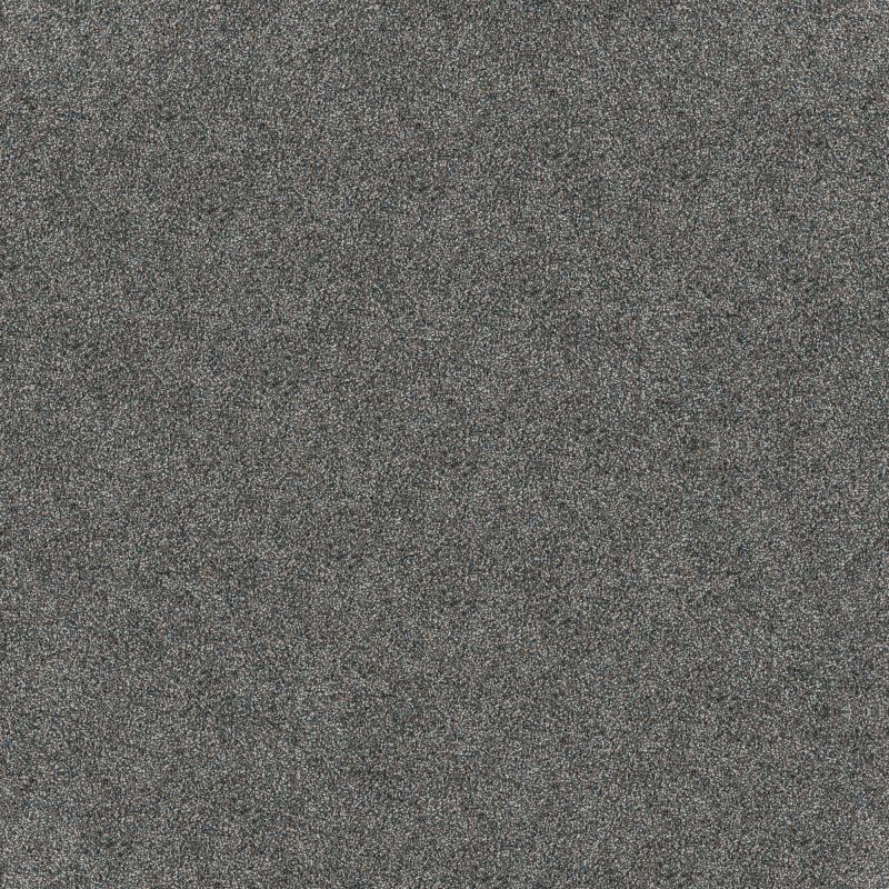 Shaw Floors Pet Perfect Influencer Turquoise Jewel