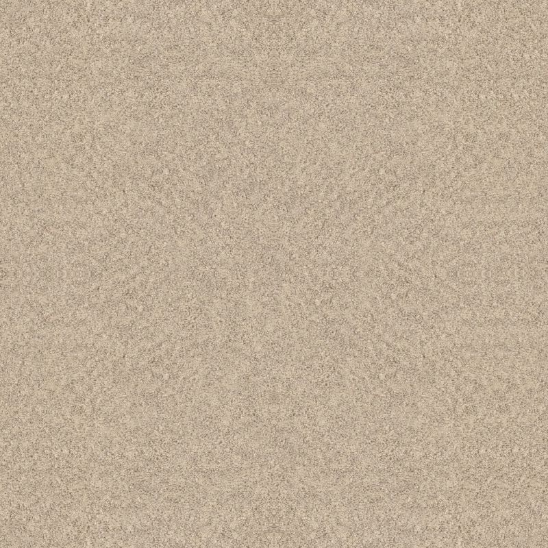 Shaw Floors Foundations Alluring Canvas Sun Kissed