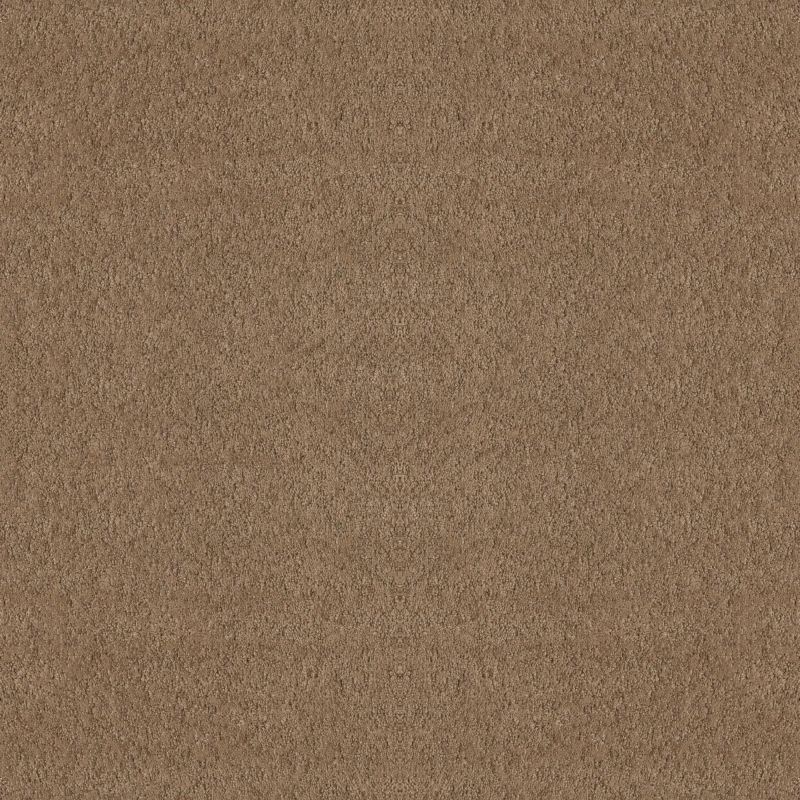 Shaw Floors Foundations Alluring Canvas Raw Wood