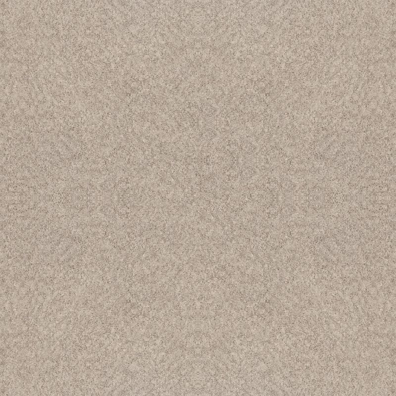 Shaw Floors Foundations Alluring Canvas Sandstone