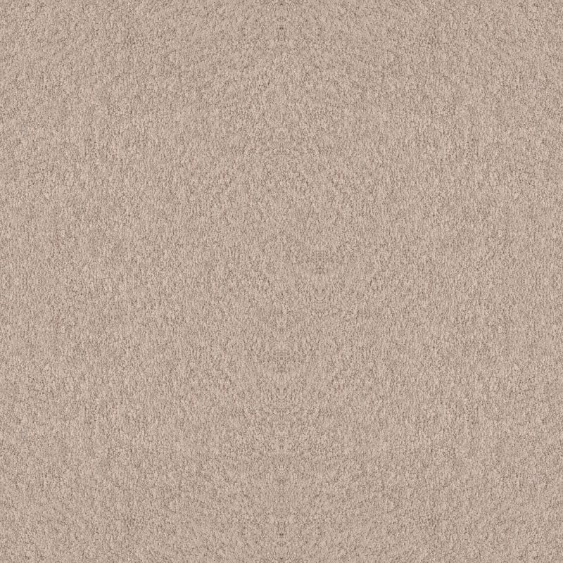 Shaw Floors Foundations Alluring Canvas Heirloom