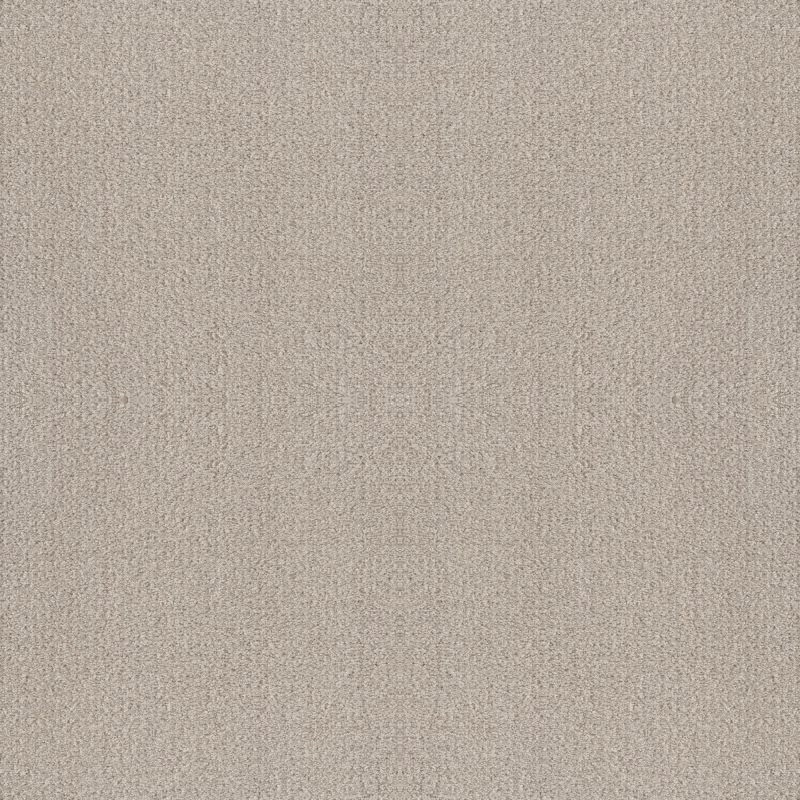 Shaw Floors Foundations Fine Tapestry Baltic Stone