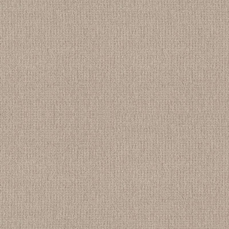 Shaw Floors Foundations Fine Tapestry Sandstone