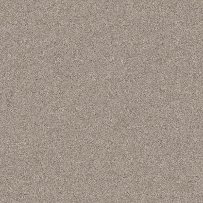 Shaw Floors Foundations Harmonious III Fossil Path