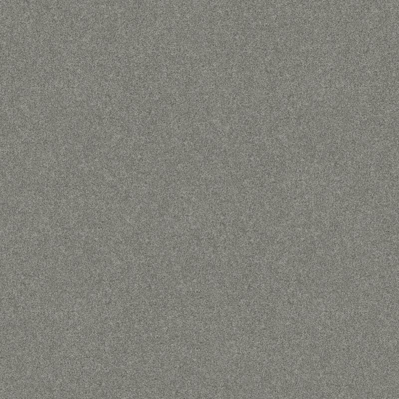 Shaw Floors Foundations Harmonious III Water's Edge