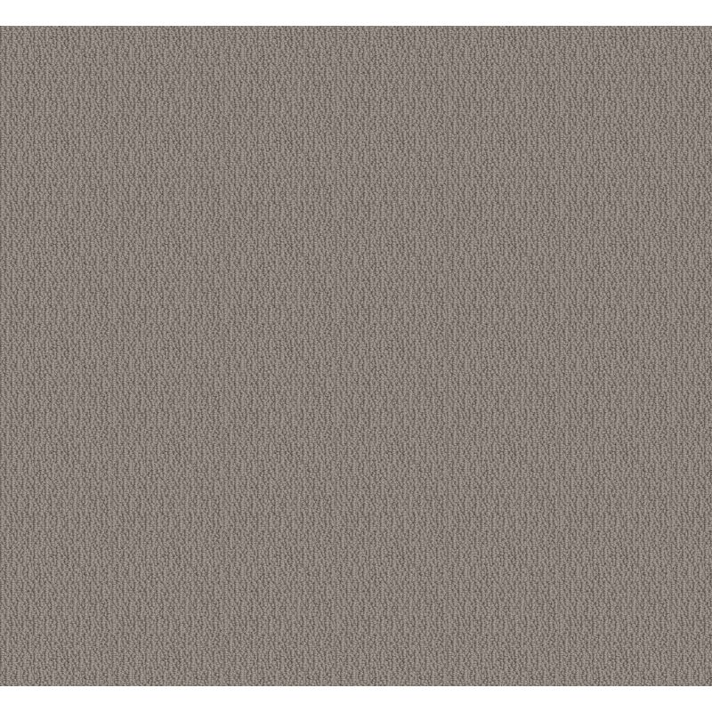 Shaw Floors Simply The Best Loop De Loop Industrial