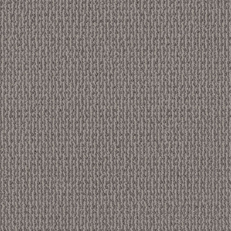 Shaw Floors Pet Perfect Plus Crafted Embrace Harbor Dock