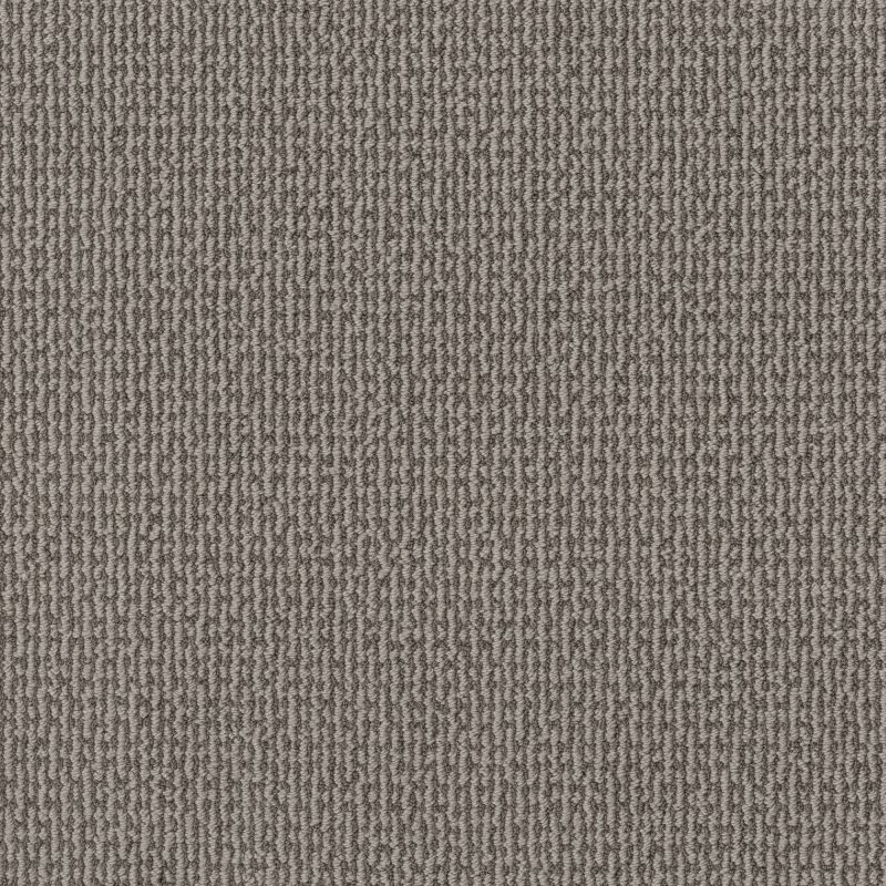 Shaw Floors Pet Perfect Plus Crafted Embrace Stormy Breeze