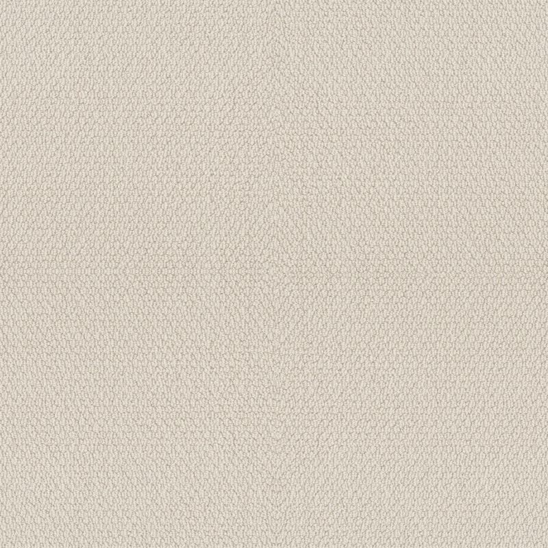 Shaw Floors Simply The Best Channeling Canvas