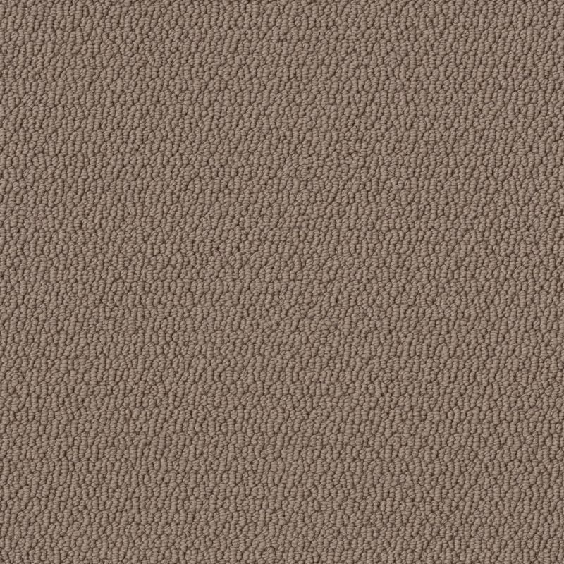 Shaw Floors Simply The Best Channeling Bird House