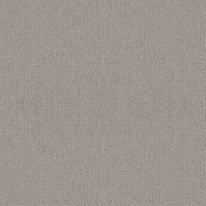 Shaw Floors Simply The Best Embellished Ashen