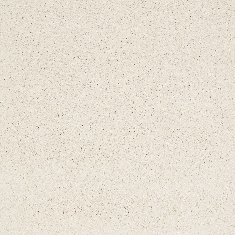 Shaw Floors Value Collections Cashmere Classic 4 Net Icelandic