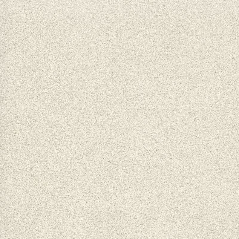 Shaw Floors Value Collections Cashmere Classic 4 Net Crisp